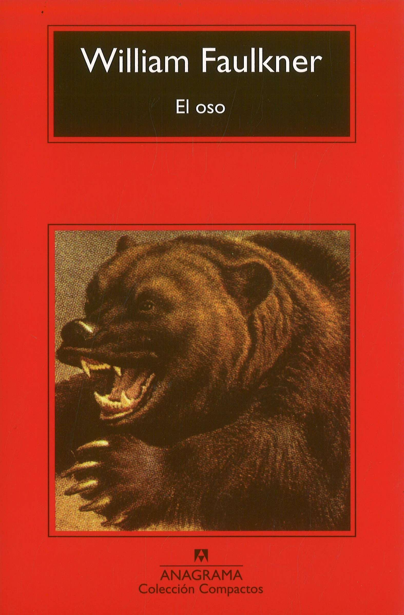 El oso: 20 (Compactos)