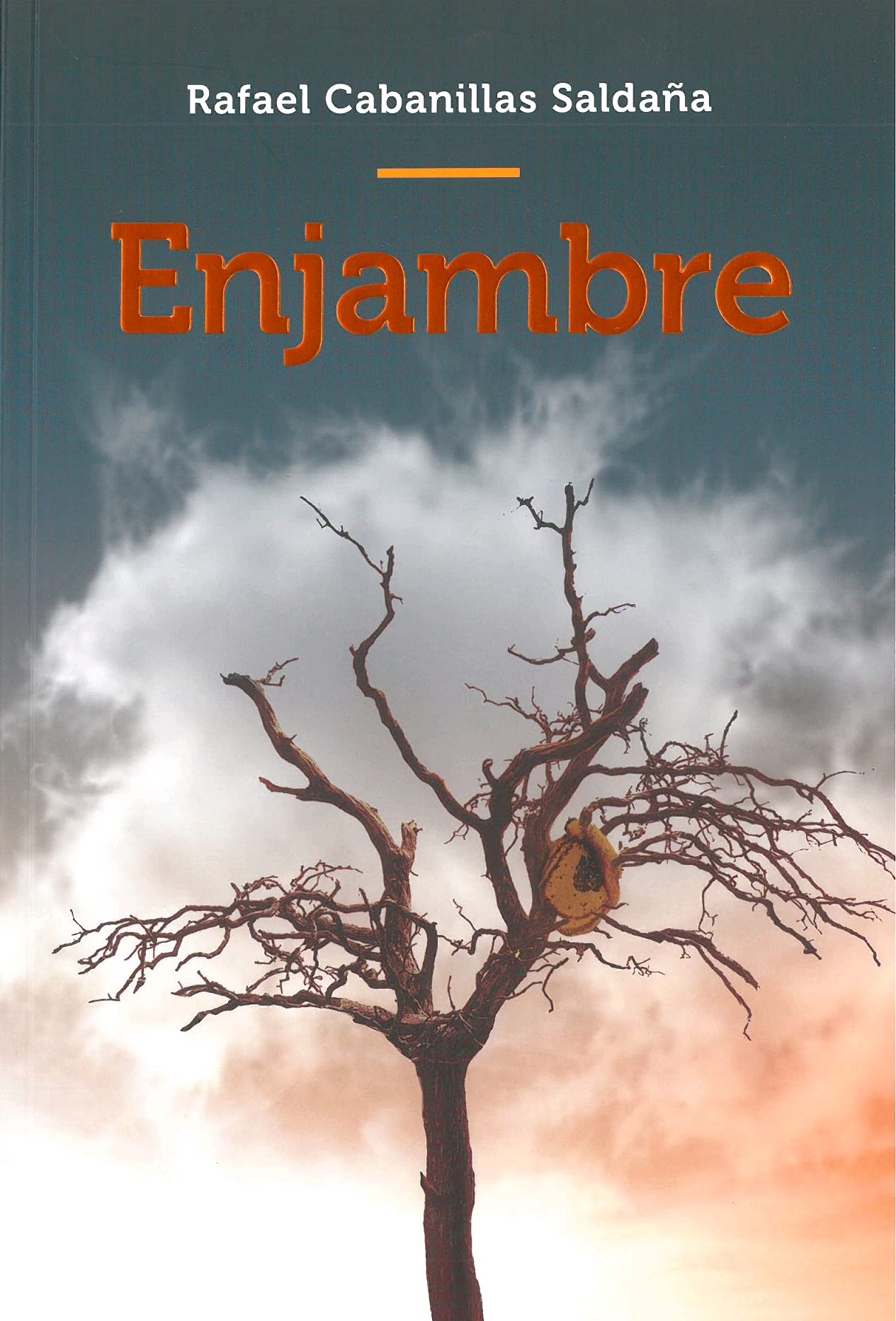 ENJAMBRE (FONDO)