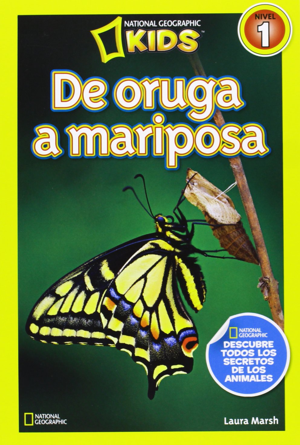 De oruga a mariposa (NG KIDS)