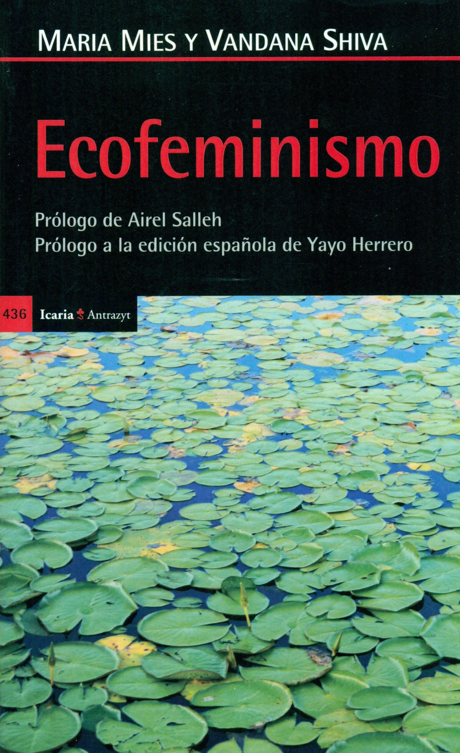 Ecofeminismo: Prólogo de Airel Salleh - Prólogo a la edición española de Yayo Herrero (Antrazyt)