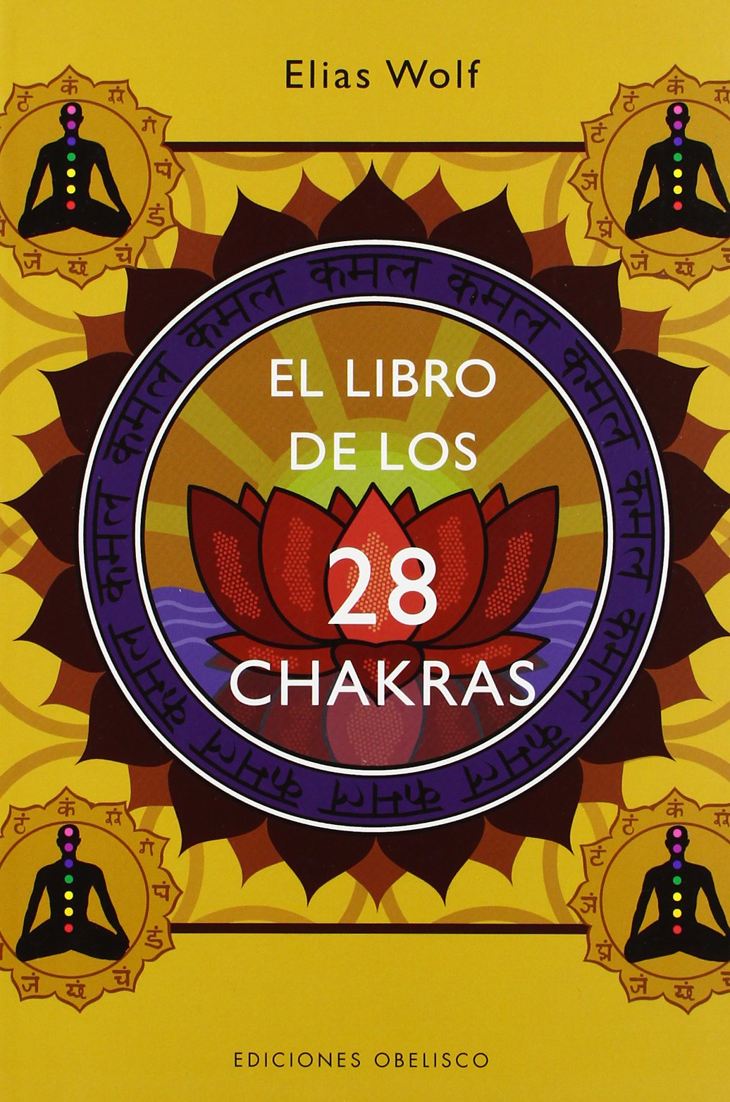 El libro de los 28 chakras