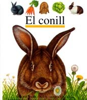 El conill: 45 (Mundo maravilloso)