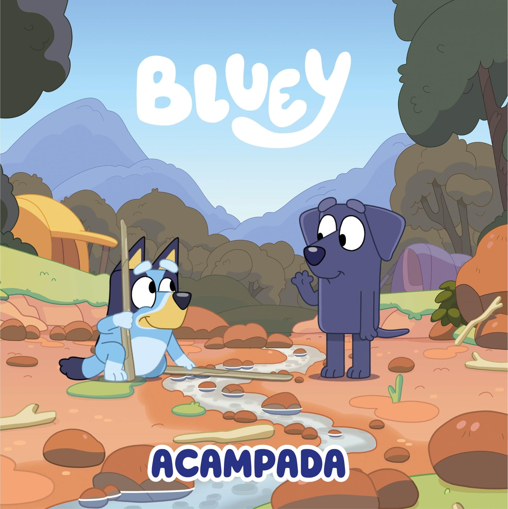 Acampada