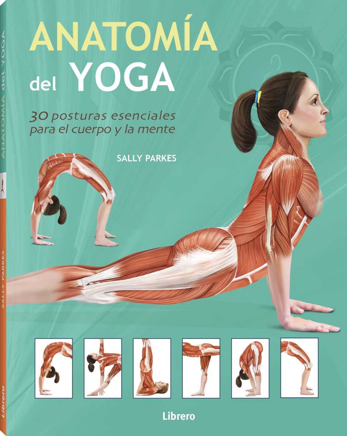 Anatomí­a del yoga