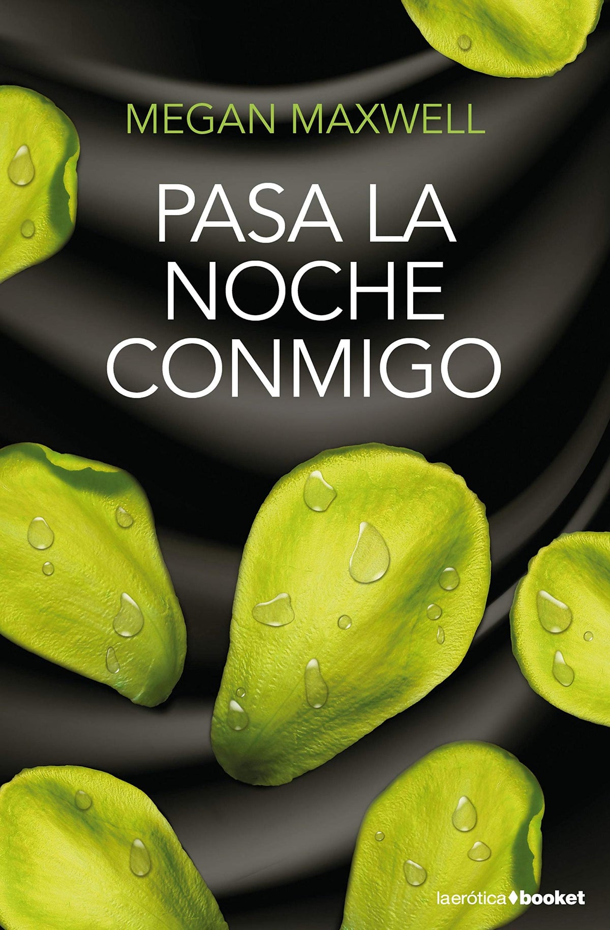 Pasa la noche conmigo (Erótica)