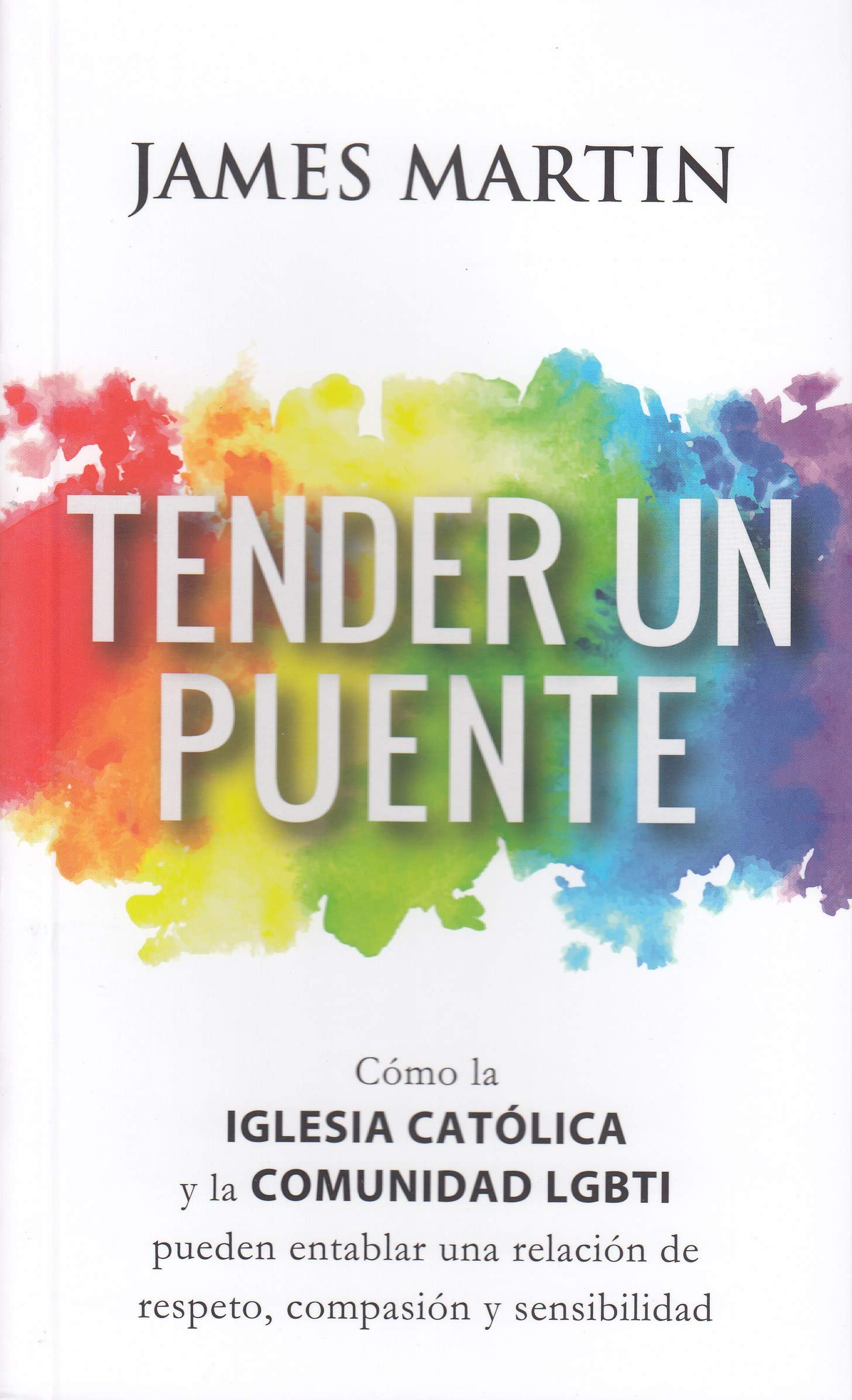Tender Un Puente: Cómo la Iglesia Católica y la comunidad LGBTI pueden entablar una relación de respeto, compasión y sensibilidad: 10 (Testimonios)