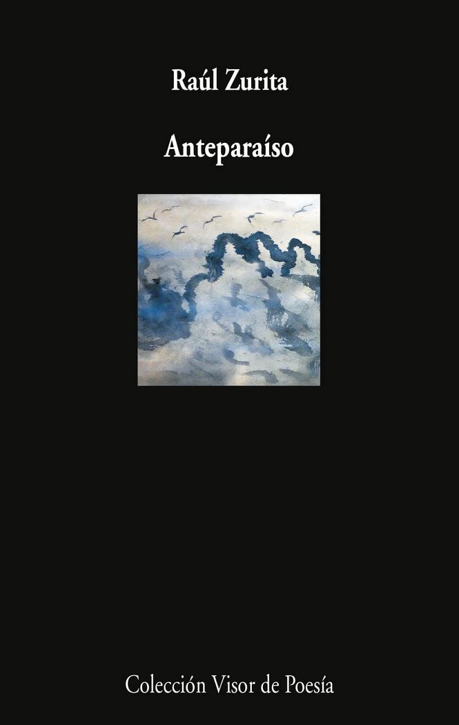 Anteparaíso: 975 (visor de Poesía)