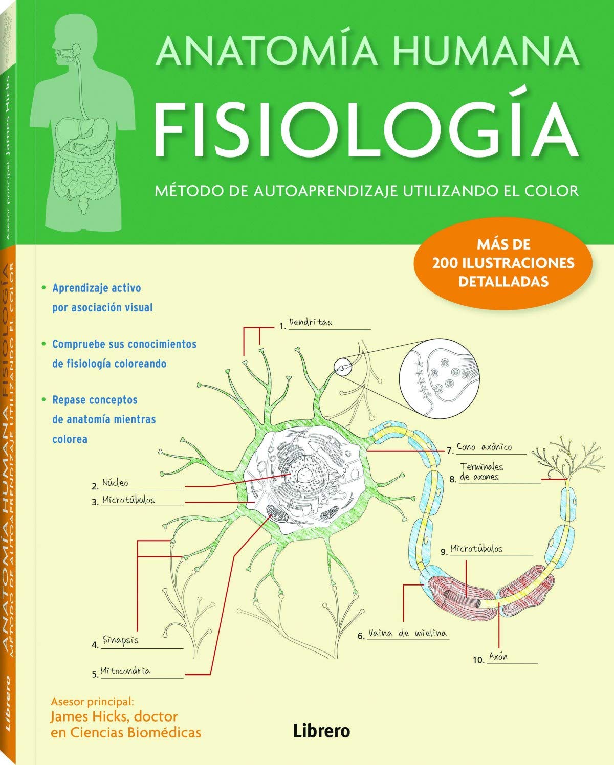 Anatomía humana. Fisiología