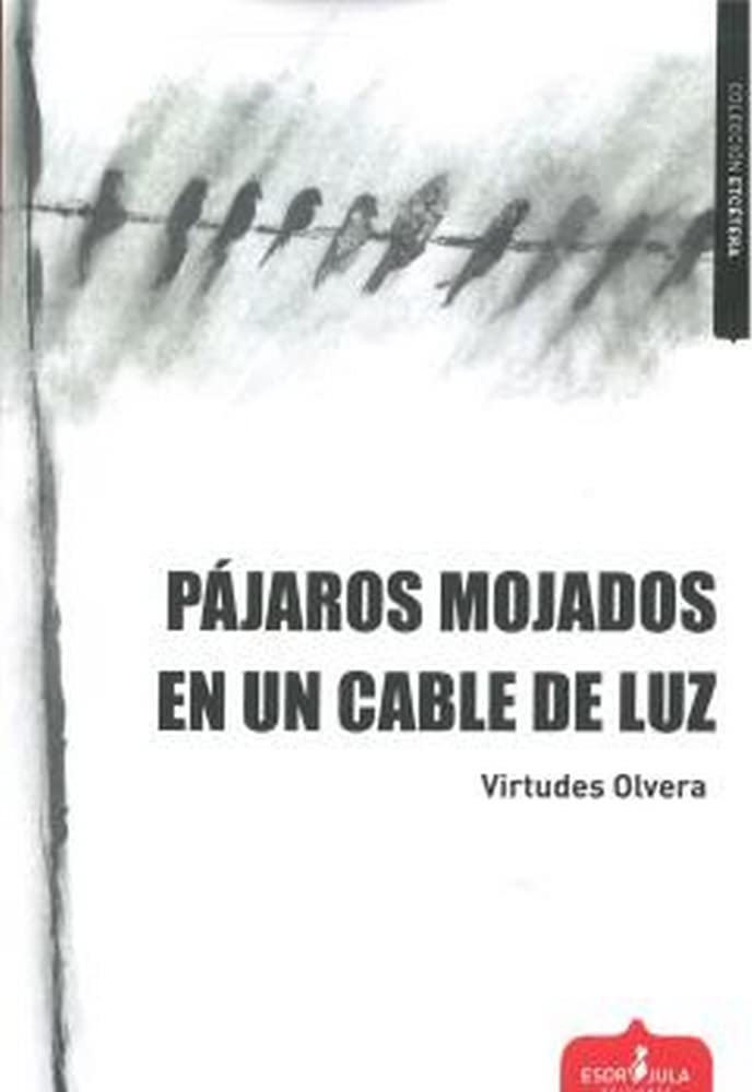 PÁJAROS MOJADOS EN UN CABLE DE LUZ: 6 (Etcétera)