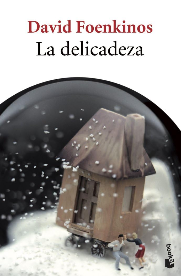 La delicadeza (Novela)