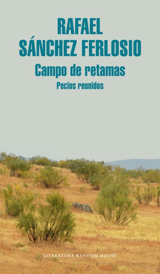 Campo de retamas (Todos los pecios)