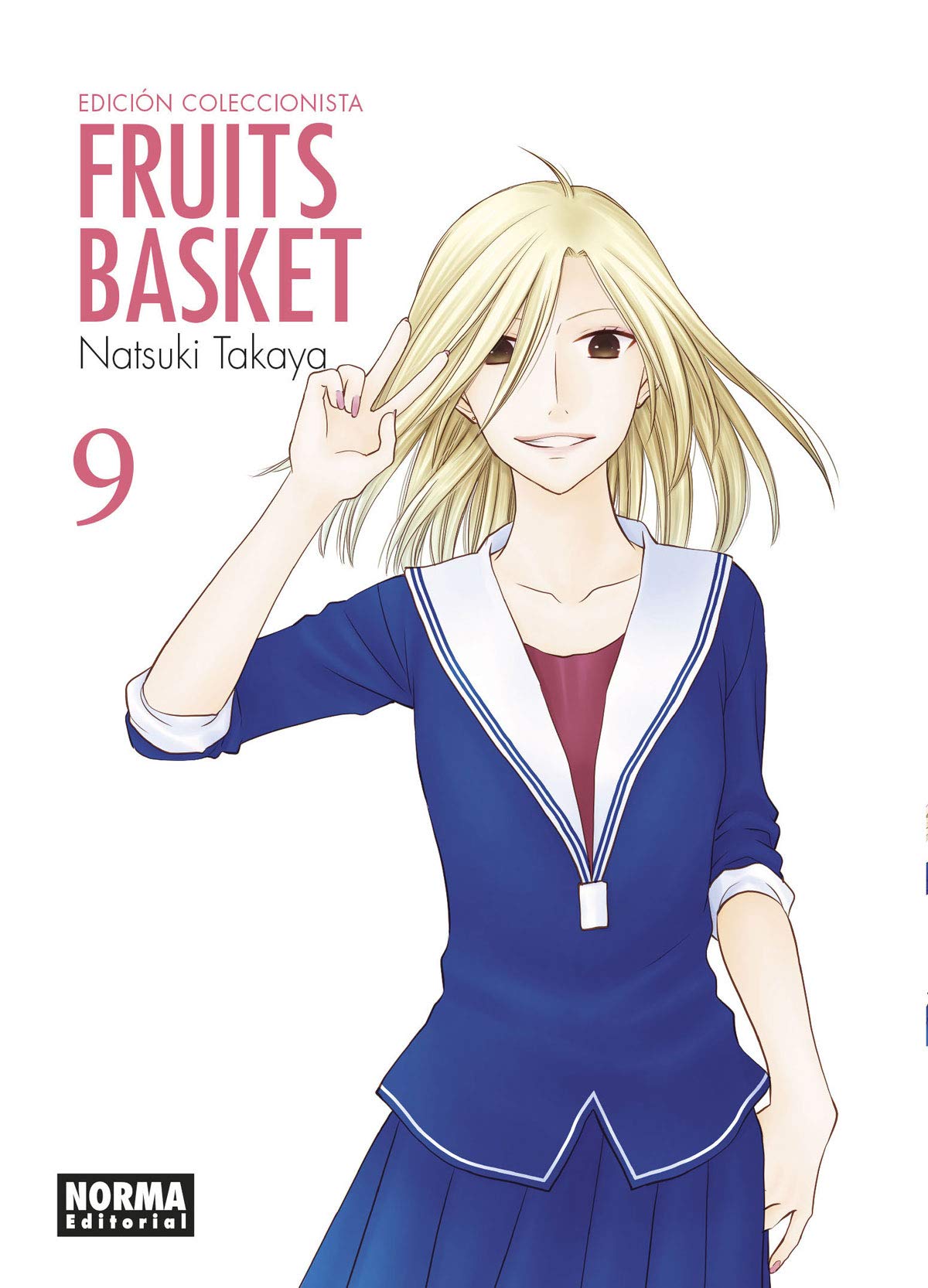 Fruits Basket Ed. Coleccionista 9