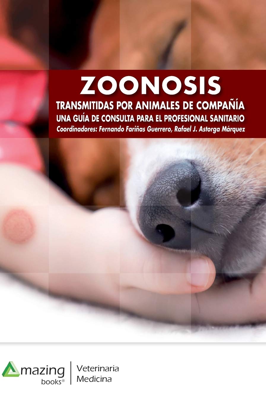 Zoonosis transmitidas por animales de compañía. Una guía de consulta para el profesional sanitario (SIN COLECCION)