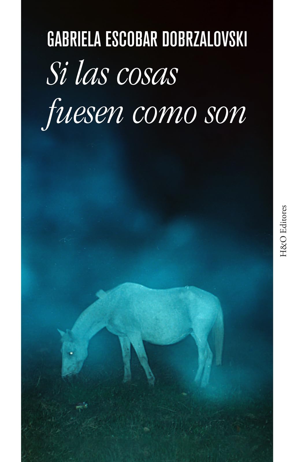 Si las cosas fuesen como son (SIN COLECCION)