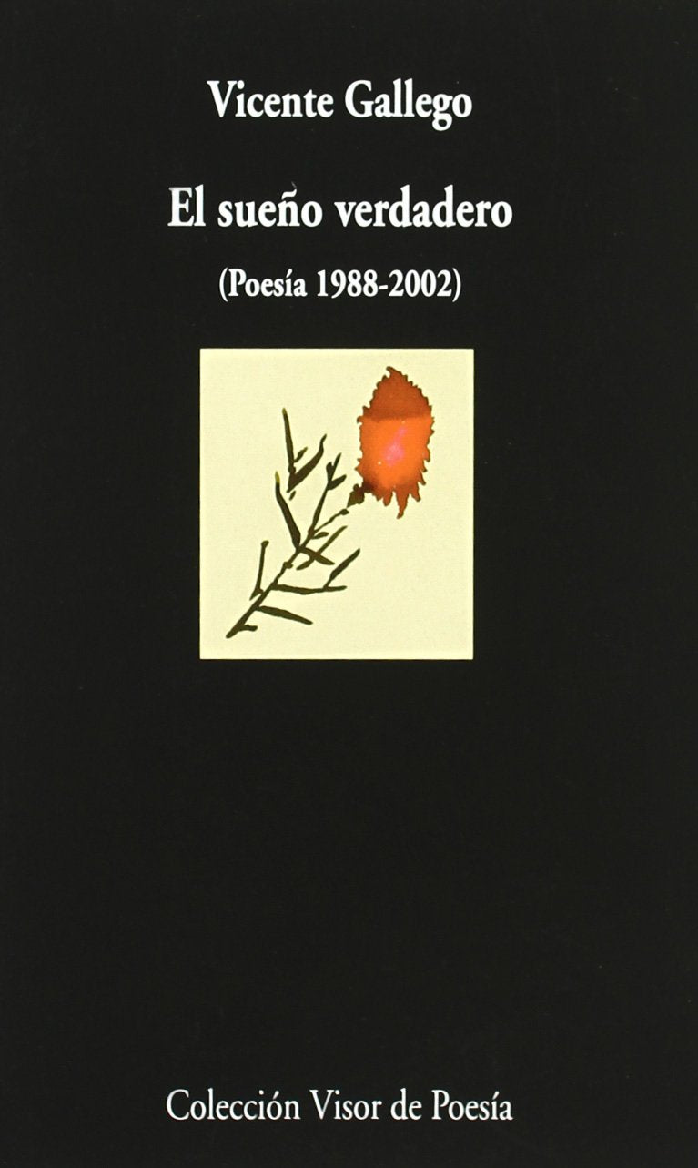 El sueño verdadero: Poesía 1988-2002: 523 (Visor de Poesía)
