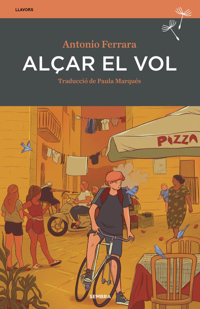 Alçar el vol: 12 (Llavors)