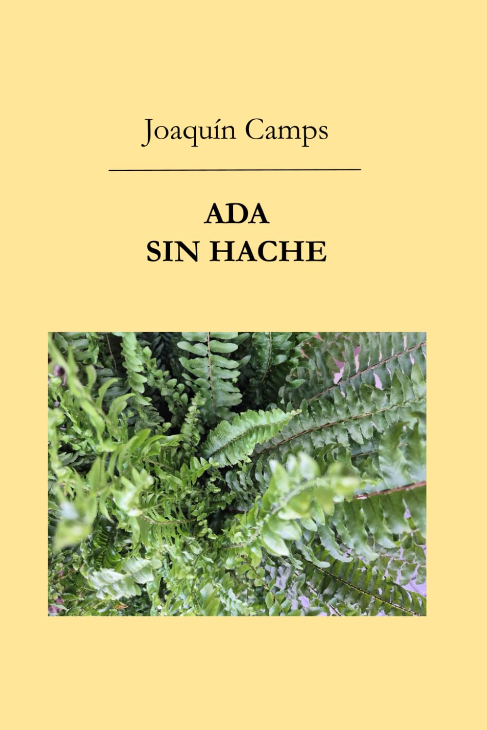 Ada. Sin hache