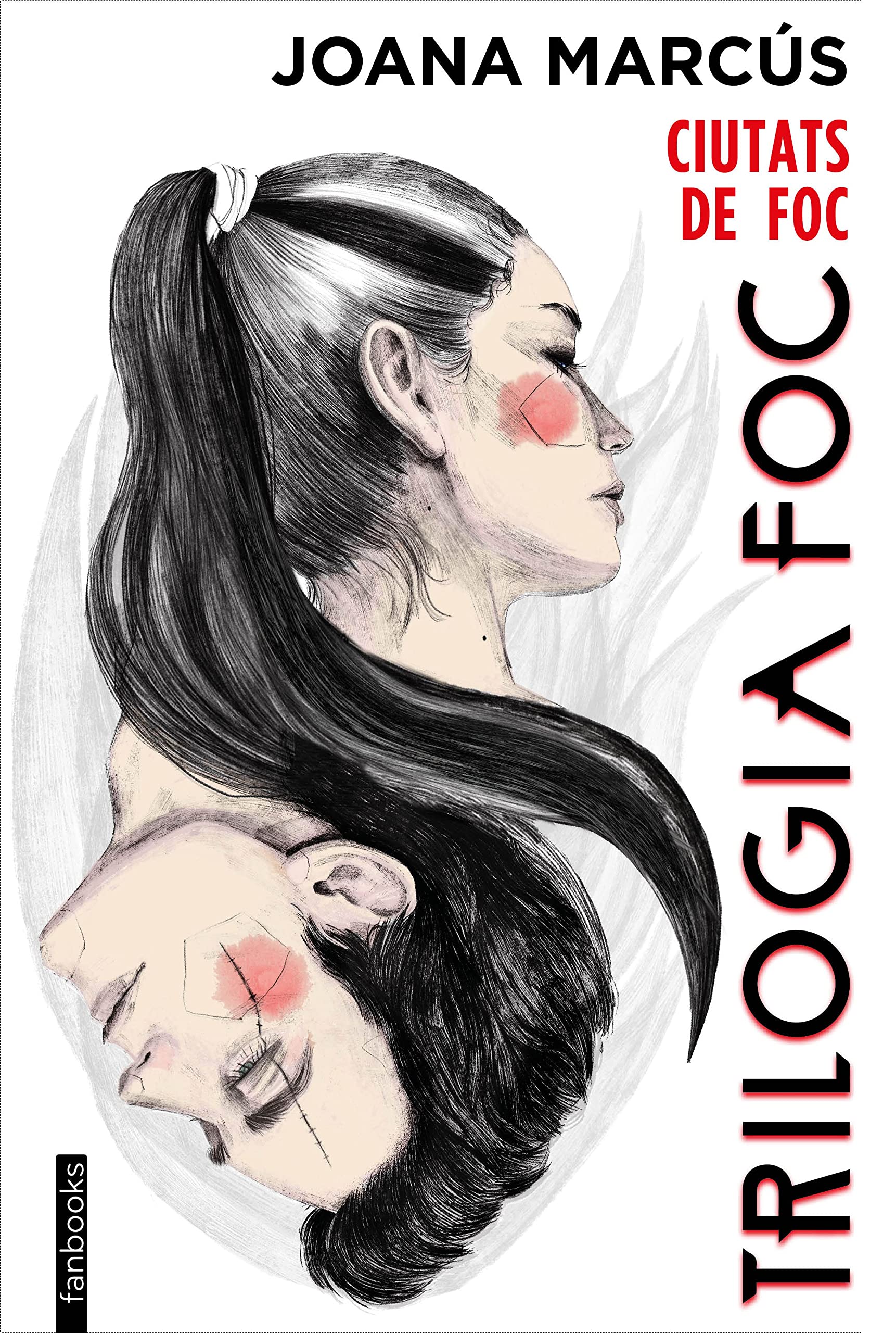 Trilogia Foc 3. Ciutats de Foc (Ficció romàntica)