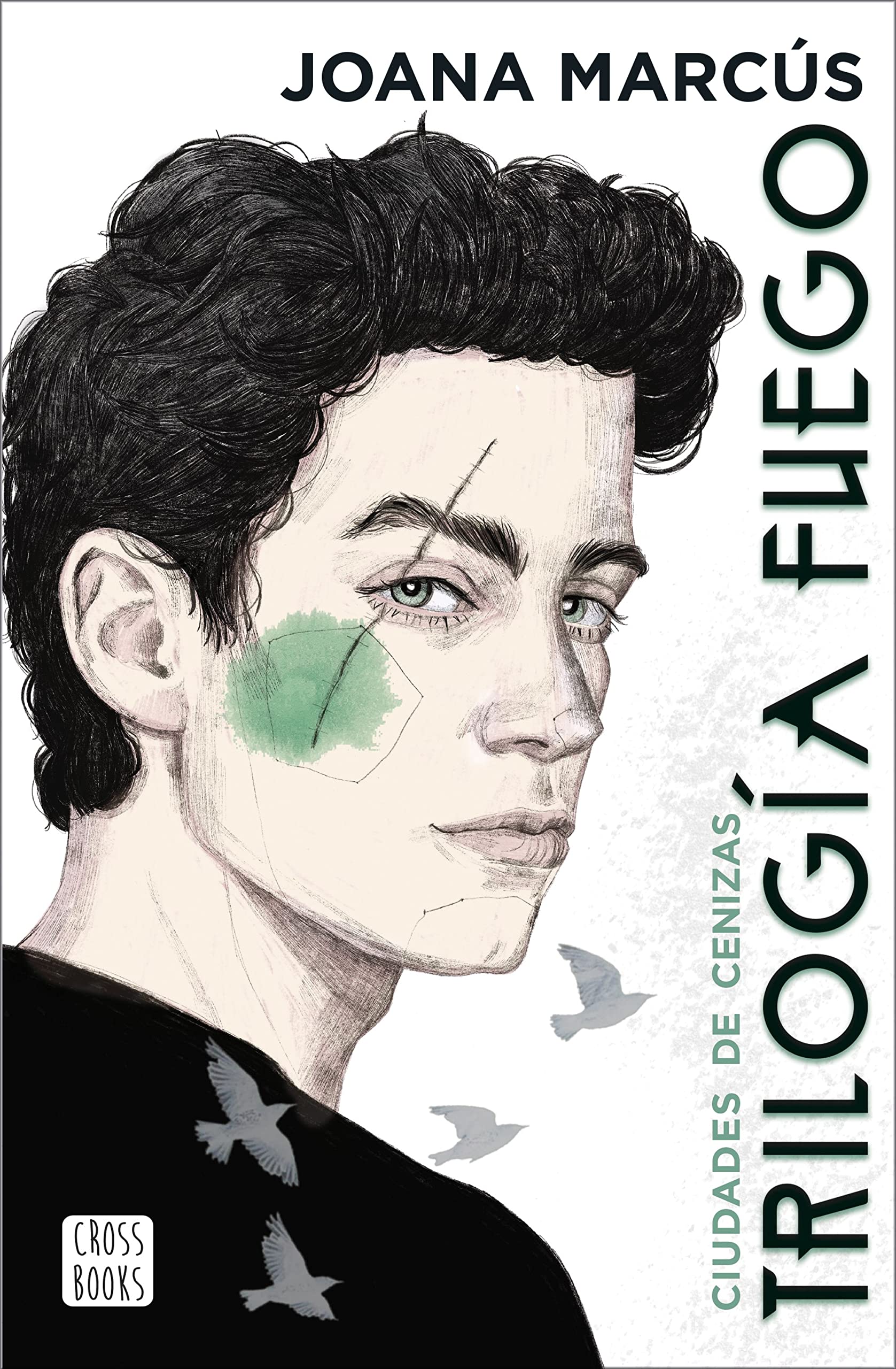 Trilogía Fuego 2. Ciudades de cenizas (Ficción)