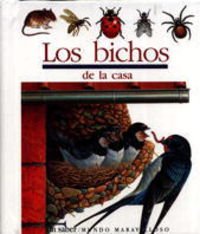 Los bichos de la casa: 51 (Mundo maravilloso)