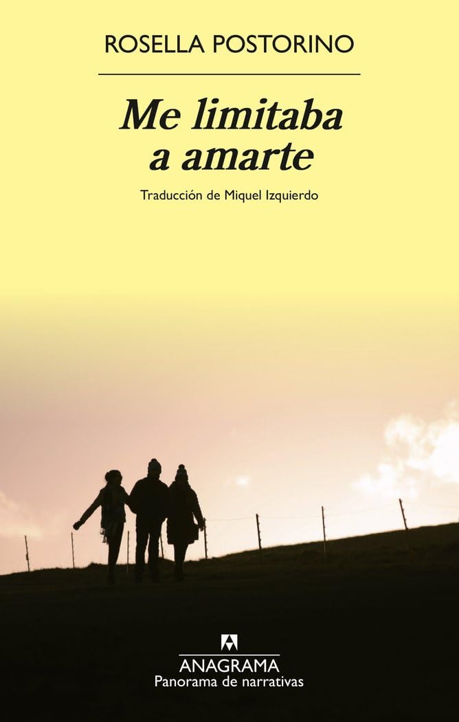 Me limitaba a amarte (Panorama de narrativas)