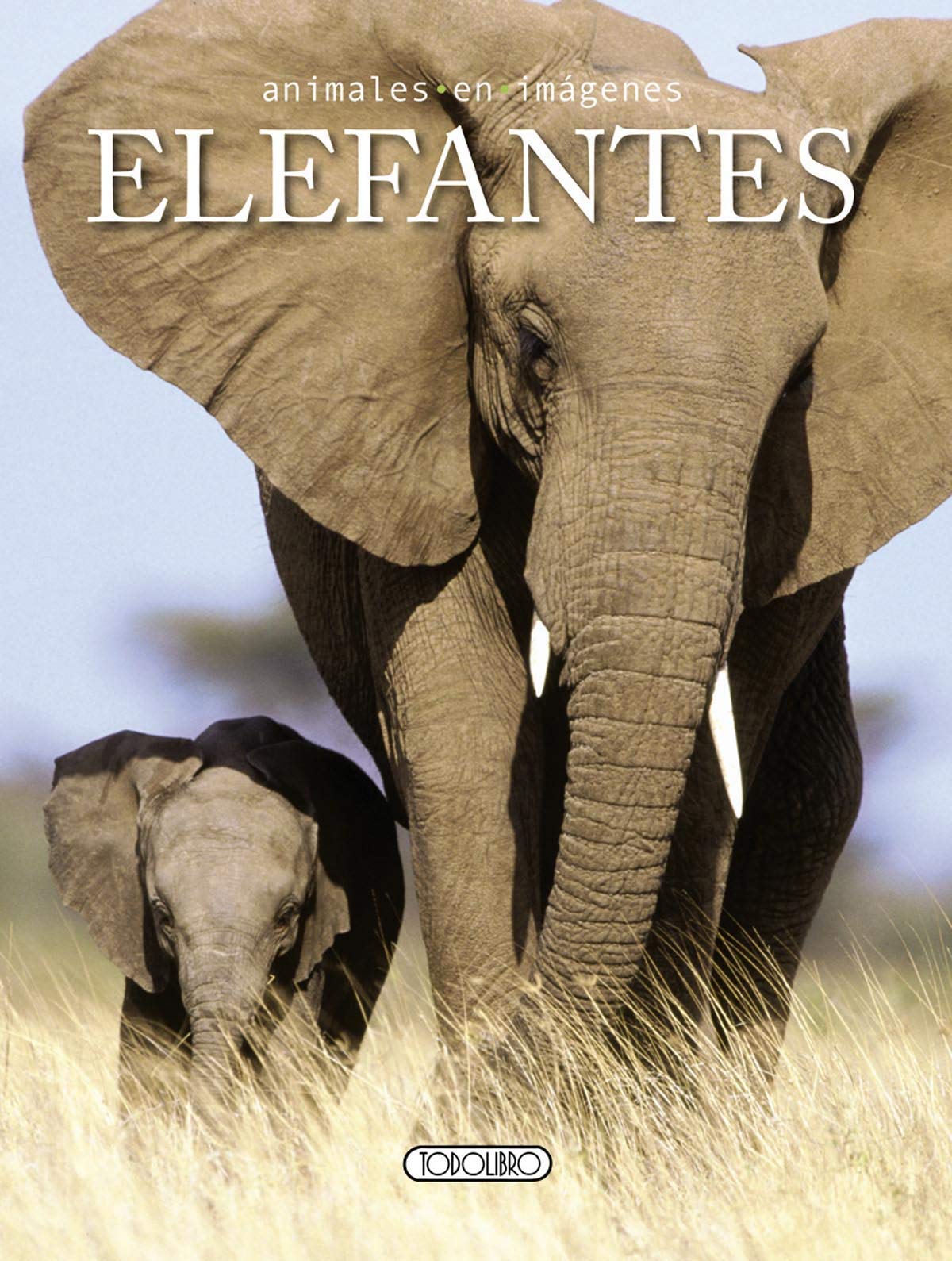Elefantes