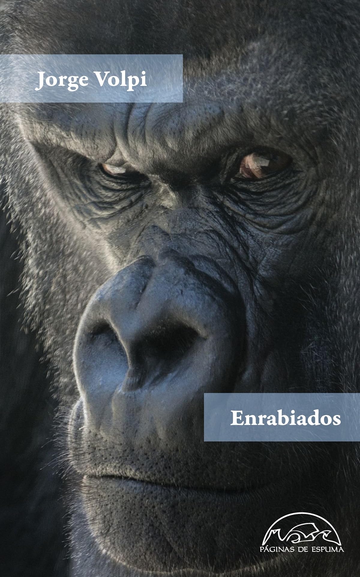 Enrabiados: 341 (Voces / Literatura)