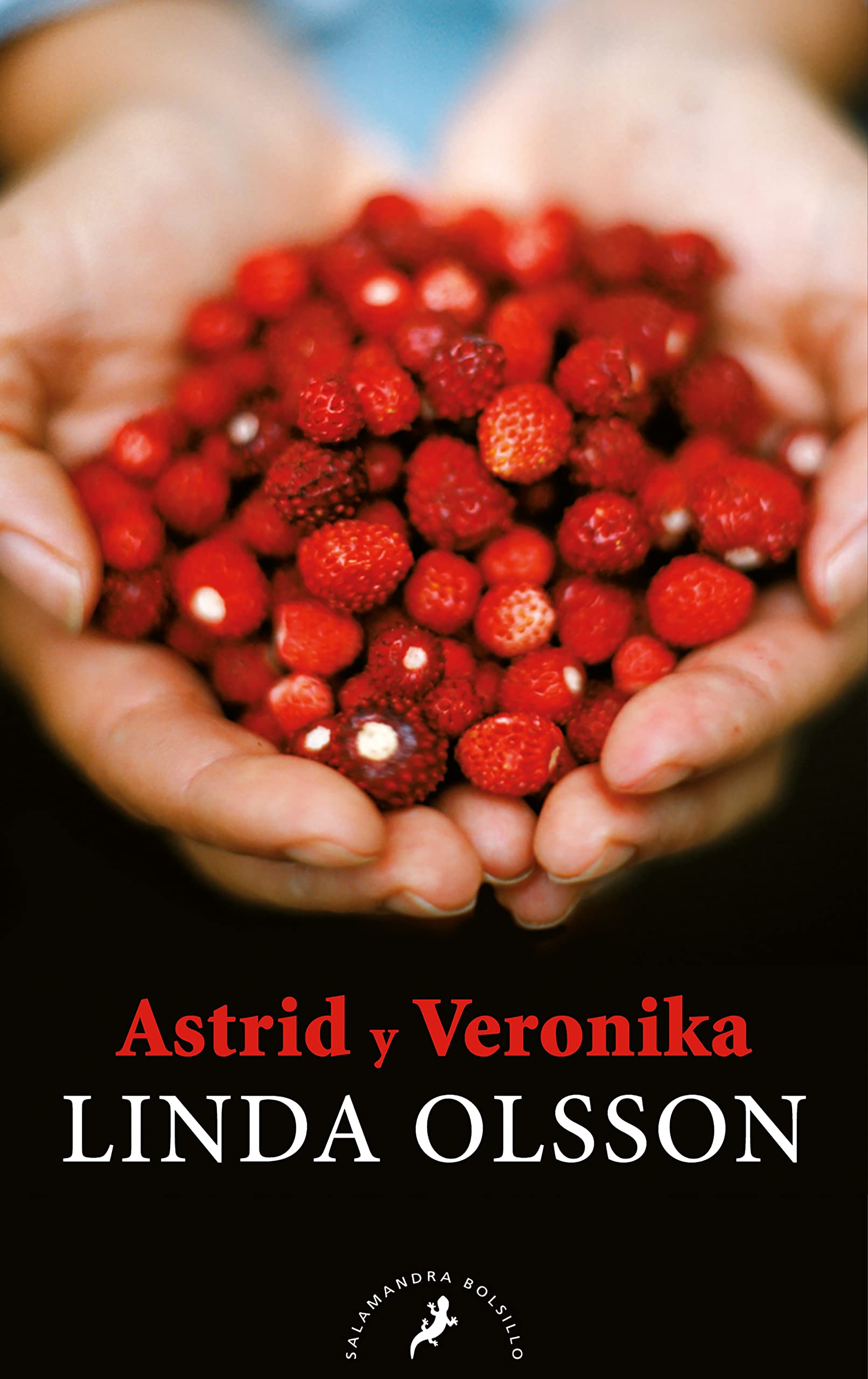 Astrid y Veronika (Salamandra Narrativa)