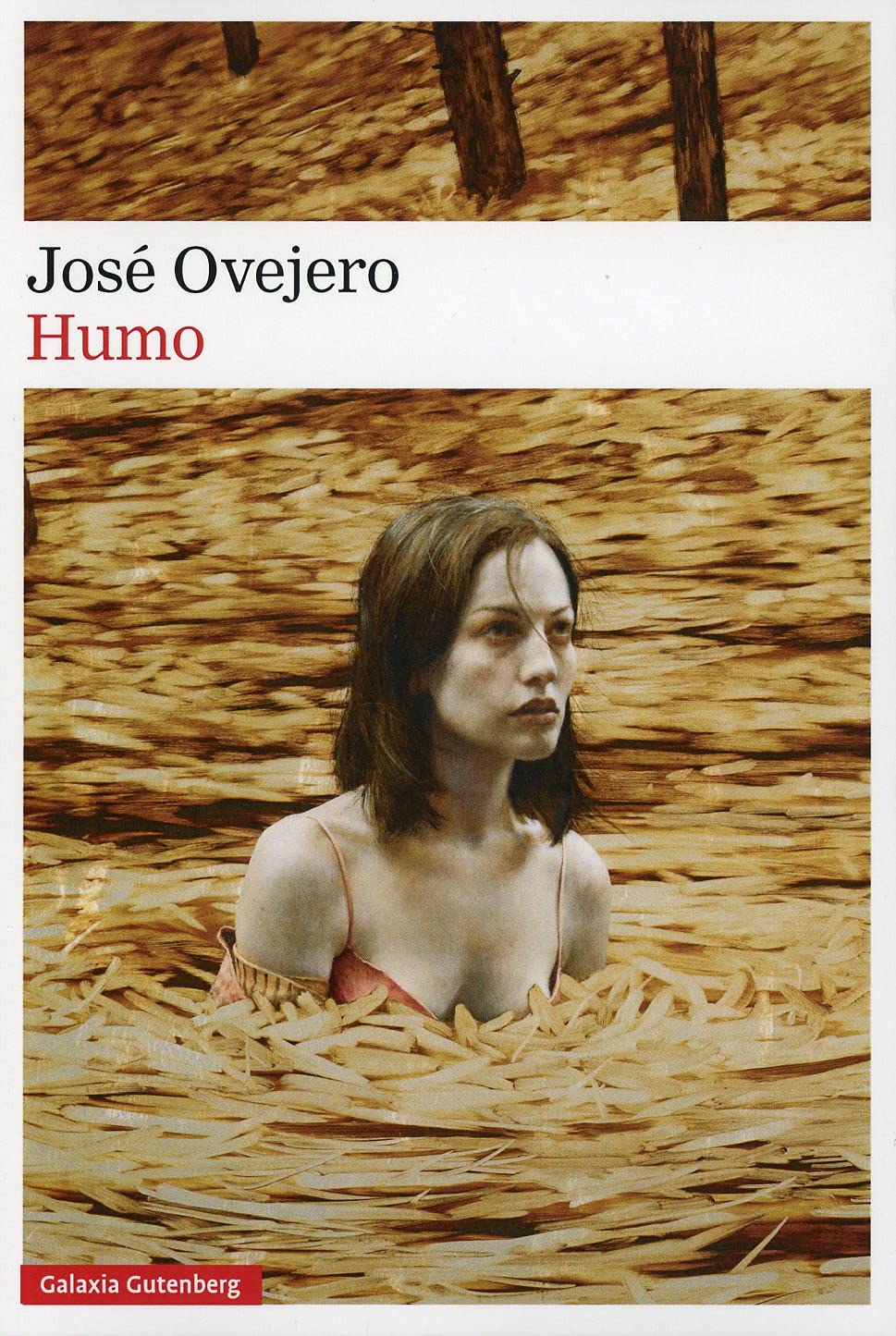 Humo (Narrativa)
