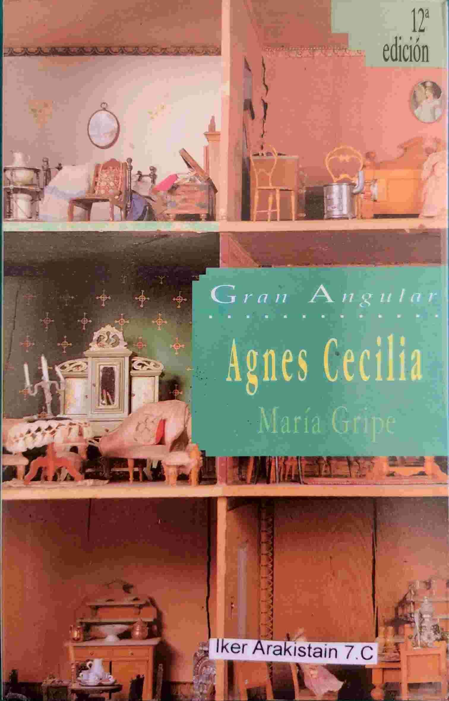 Agnes Cecilia: 40 (Gran Angular)