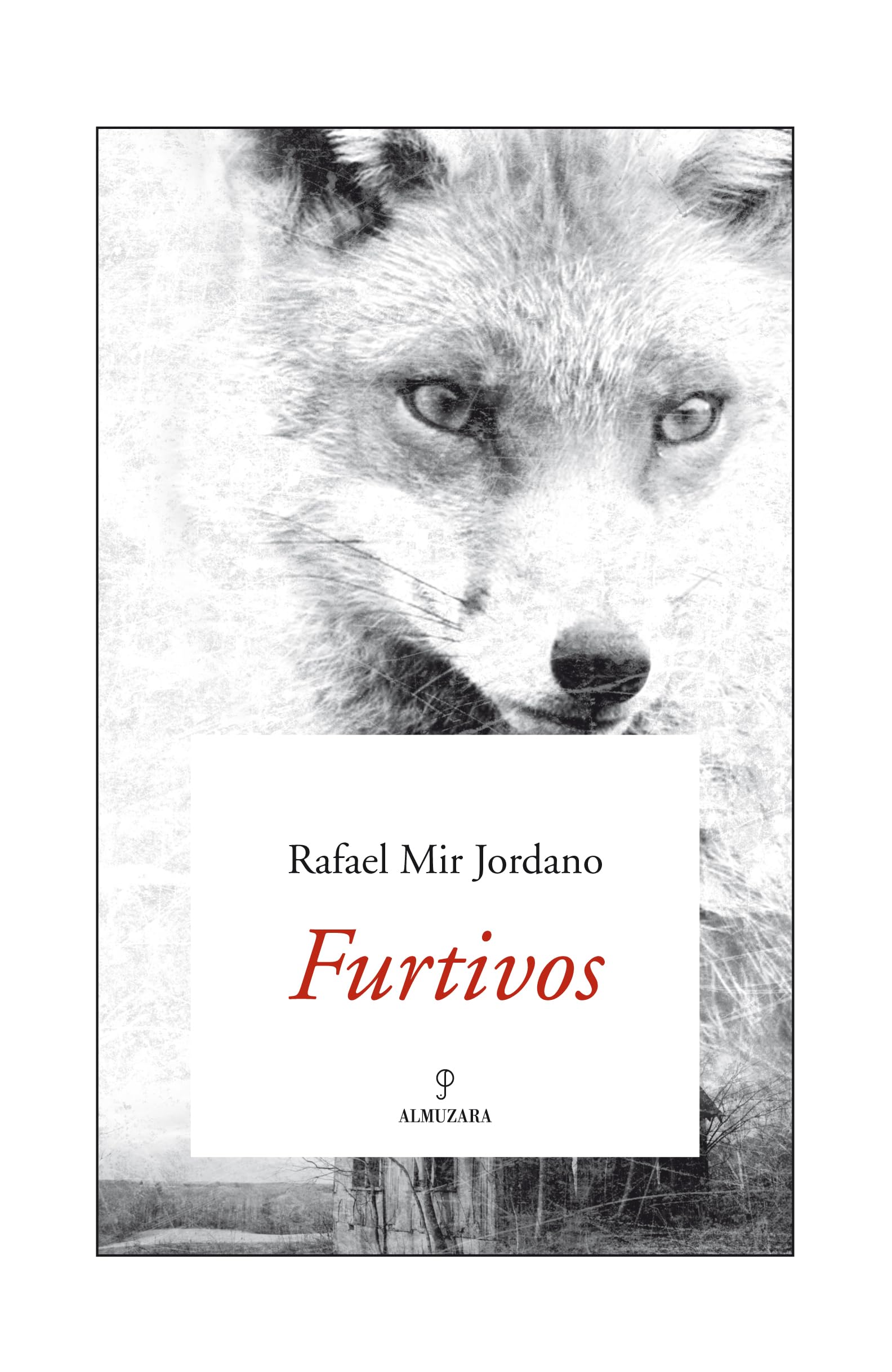 Furtivos (SIN COLECCION)