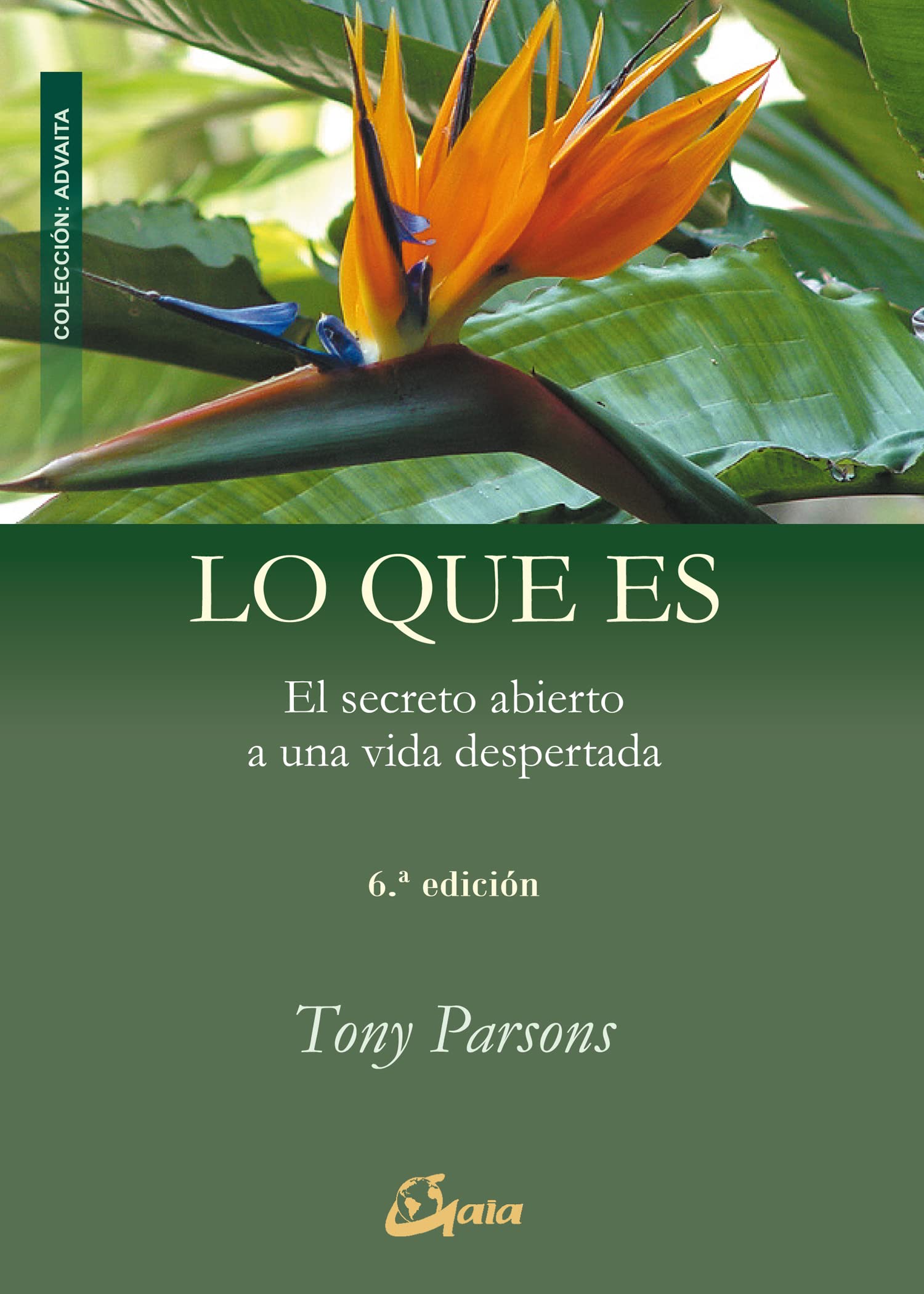 Lo Que Es
