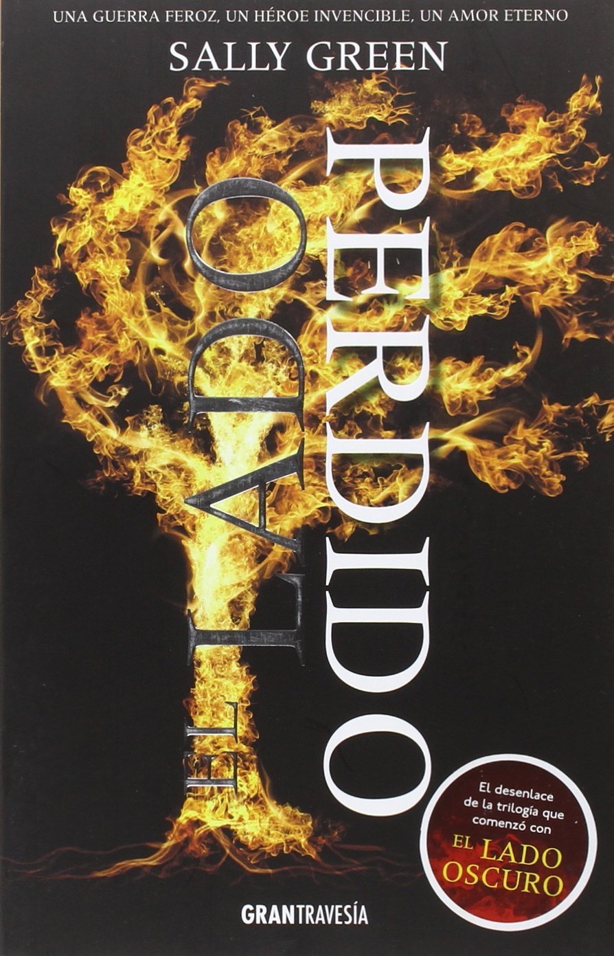 El lado perdido: Una gerra feroz, un héroe invencible, un amor eterno