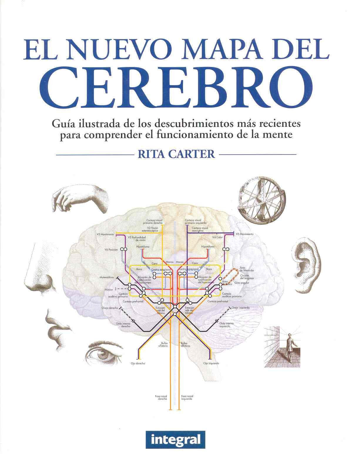 El nuevo mapa del cerebro