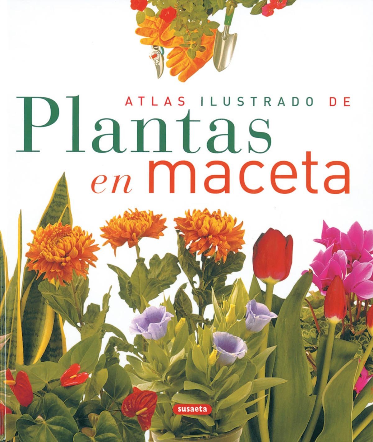 Atlas Ilustrado De Plantas En Maceta