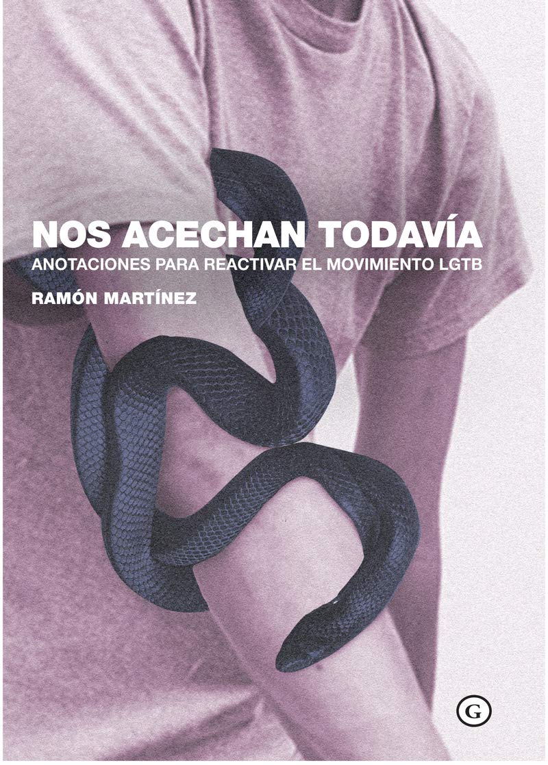 Nos acechan todavía: Anotaciones para reactivar el movimiento LGTB (COLECCION G)