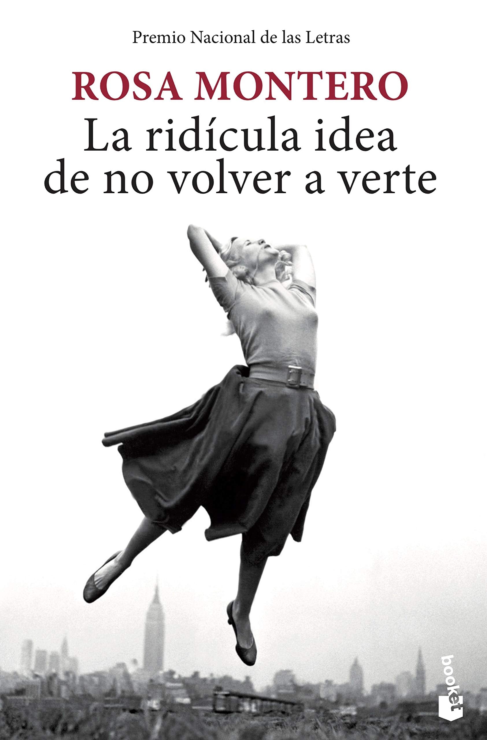 La ridícula idea de no volver a verte (Novela)