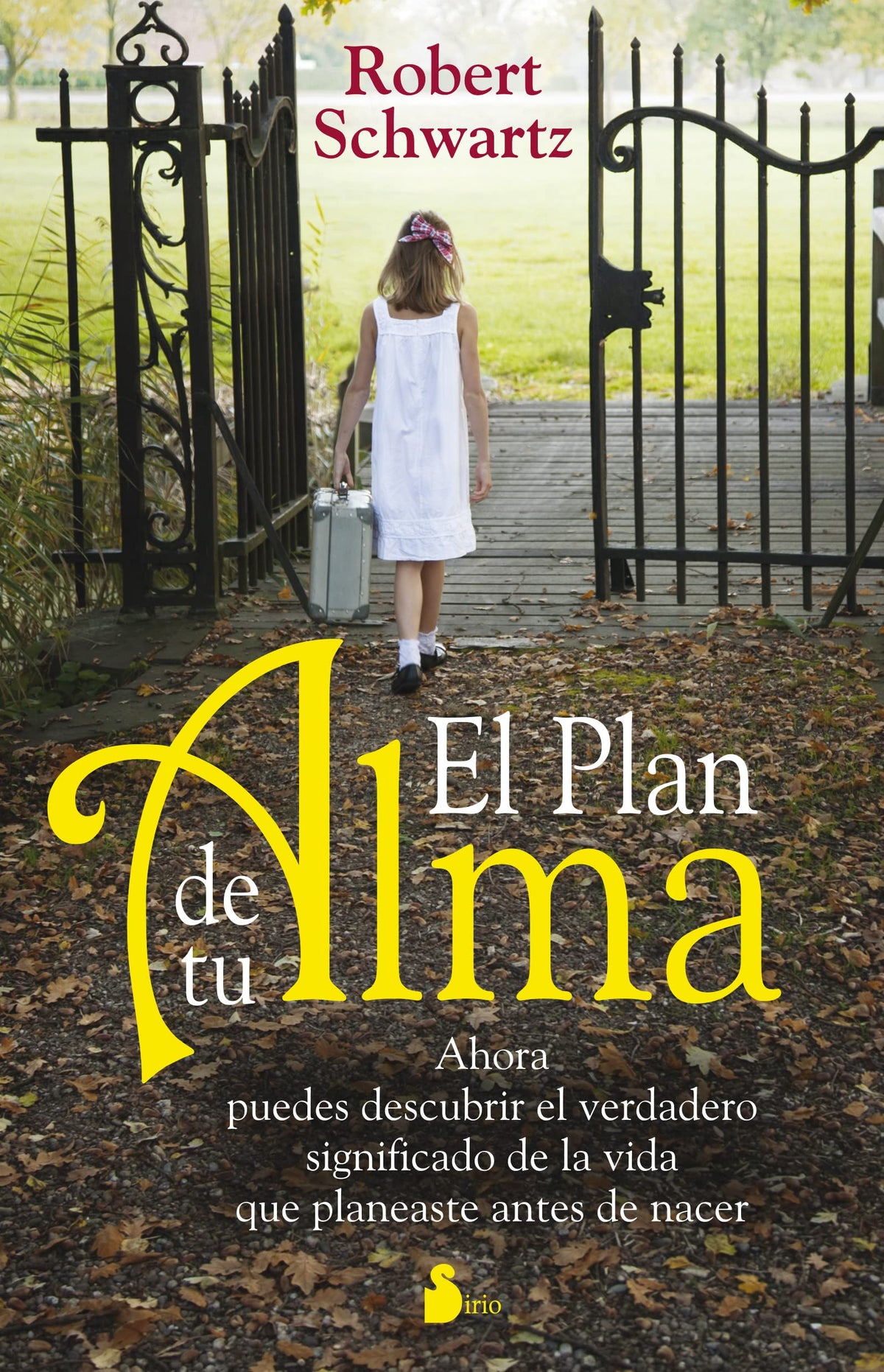 El plan de tu alma: Ahora puedes descubrir el verdadero significado de la vida que planeaste antes de nacer.