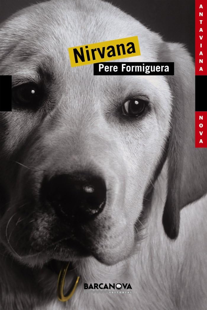 Nirvana (Llibres infantils i juvenils - Antaviana - Antaviana Nova)