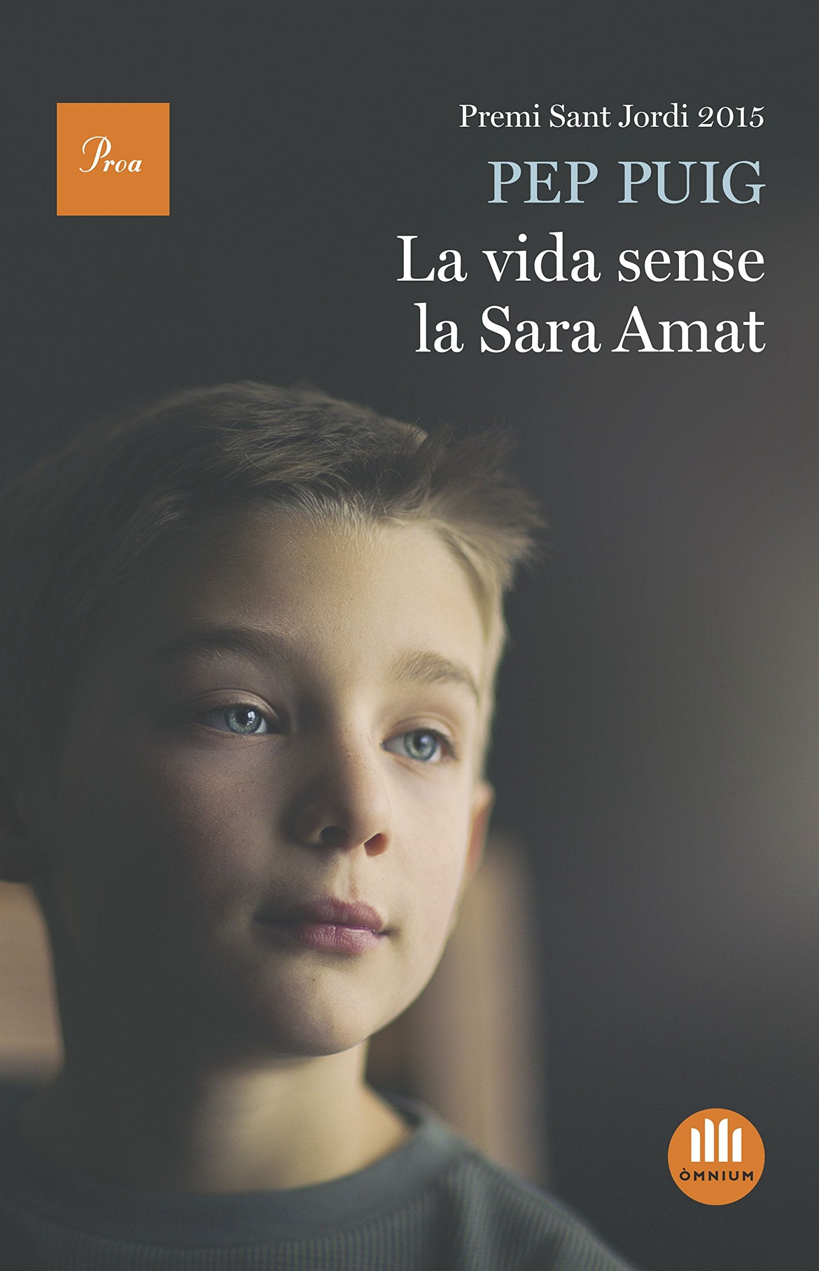 La vida sense la Sara Amat: Premi Sant Jordi 2015 (A TOT VENT-TELA)