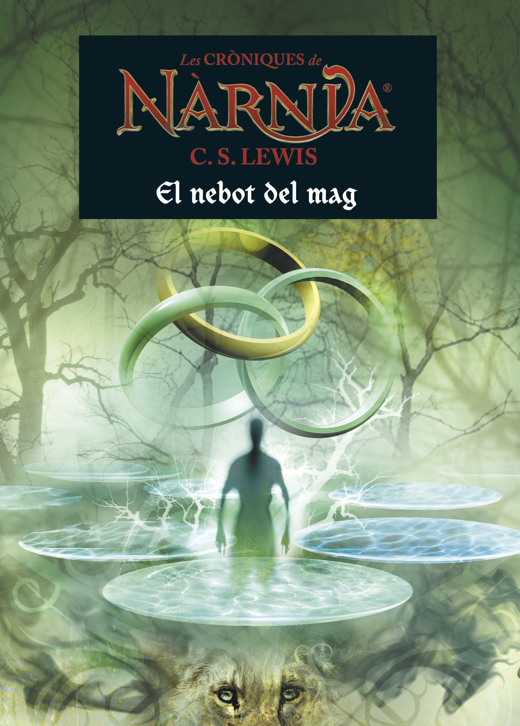 El Nebot Del Mag: 1 (L' illa del temps)