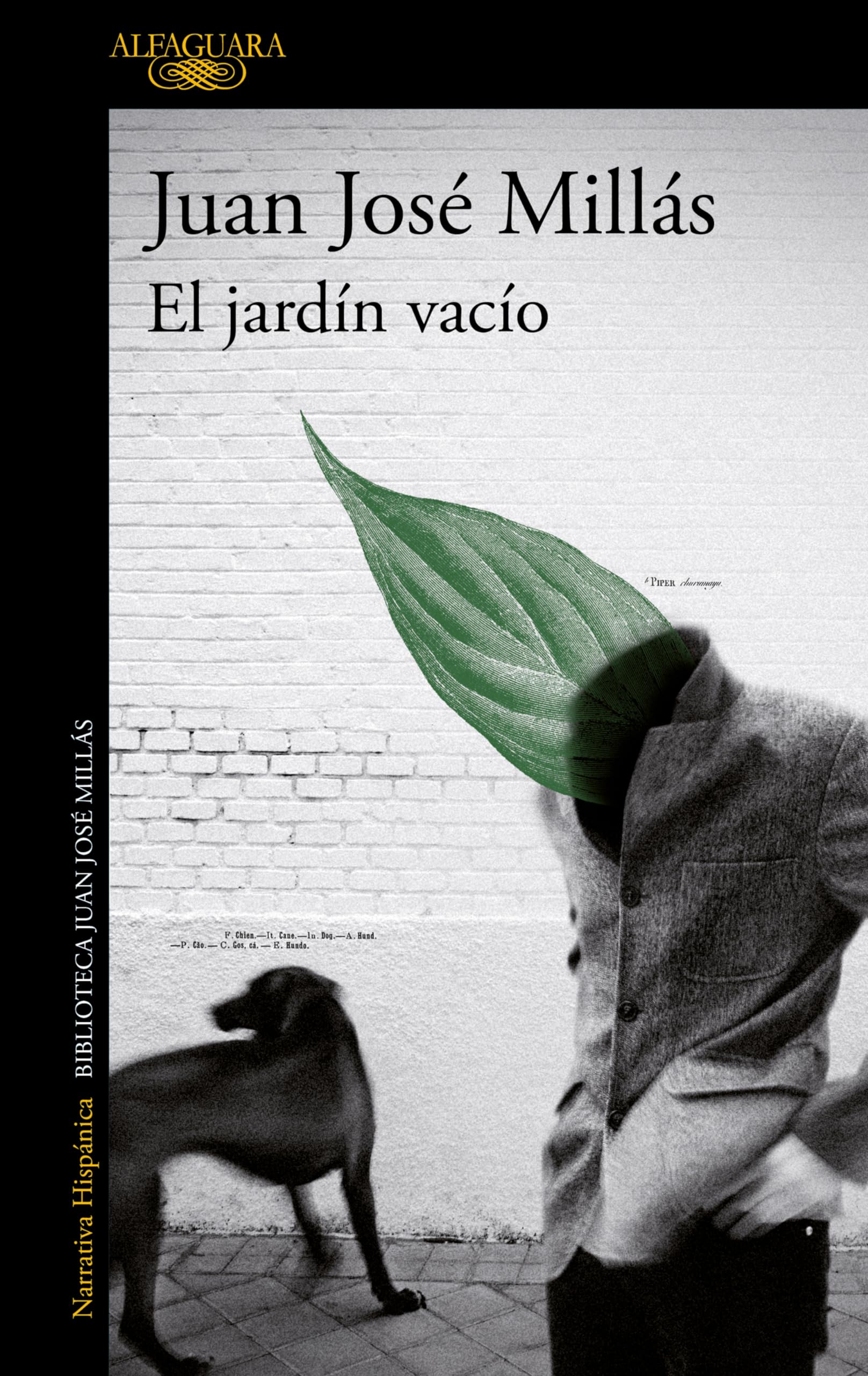 El jardín vacío (Hispánica)