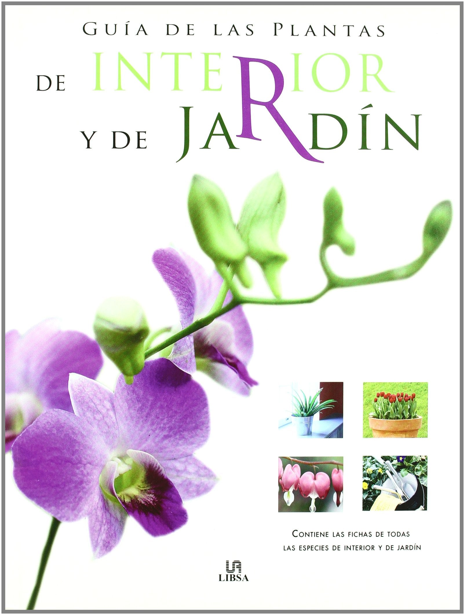 Guía de las Plantas de Interior y de Jardín: Contiene las Fichasd de Todas las Especies de Interior y de Jardín