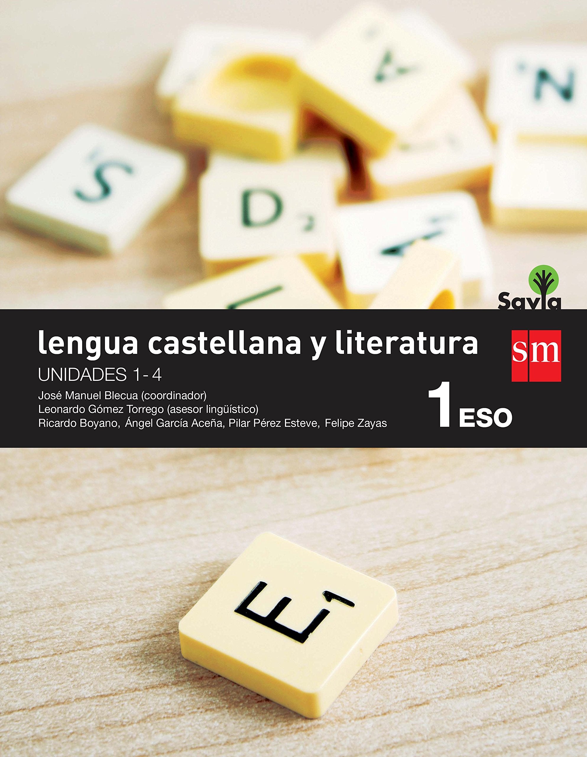 Lengua castellana y literatura