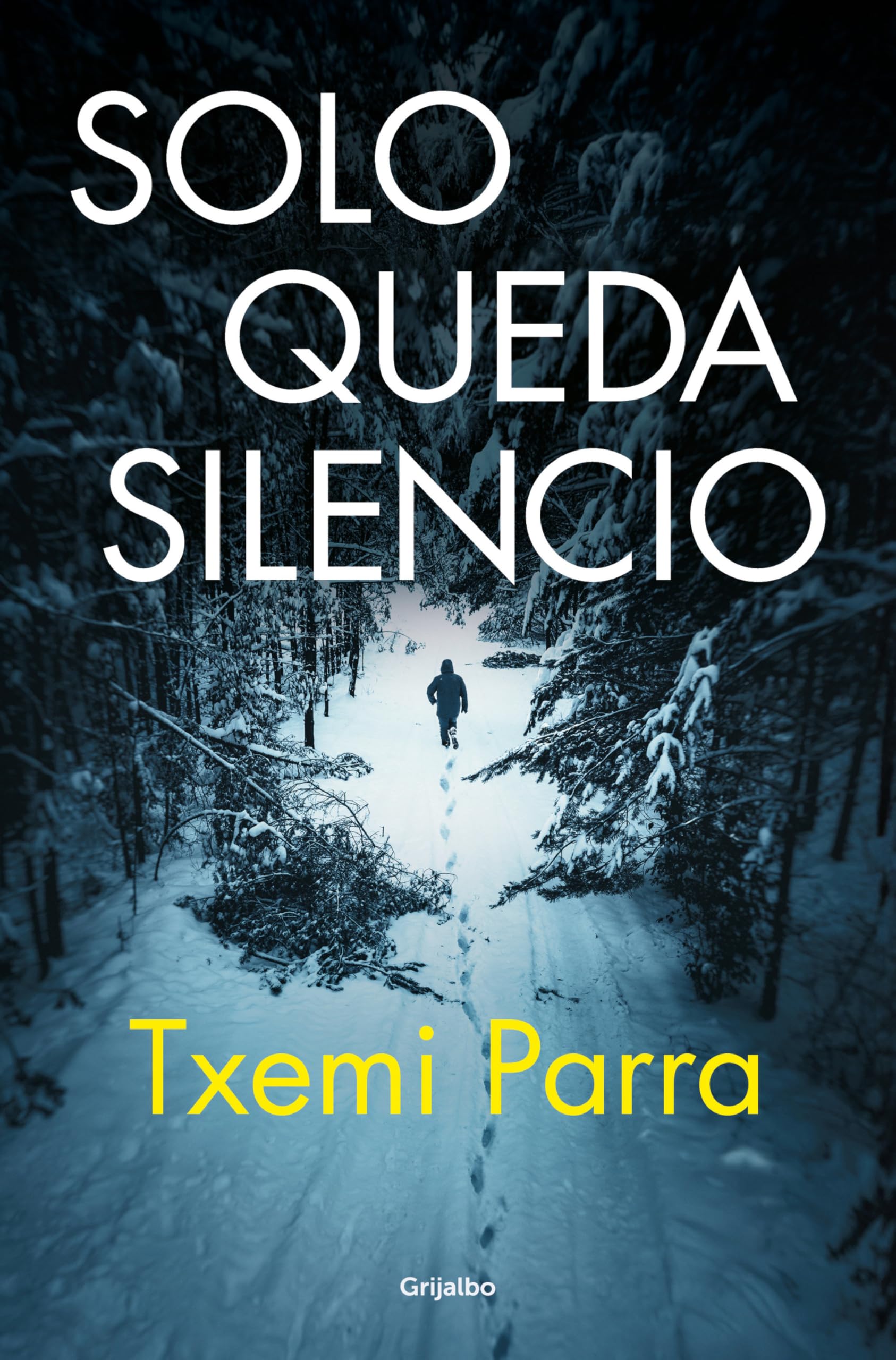 Solo queda silencio (Novela de intriga)