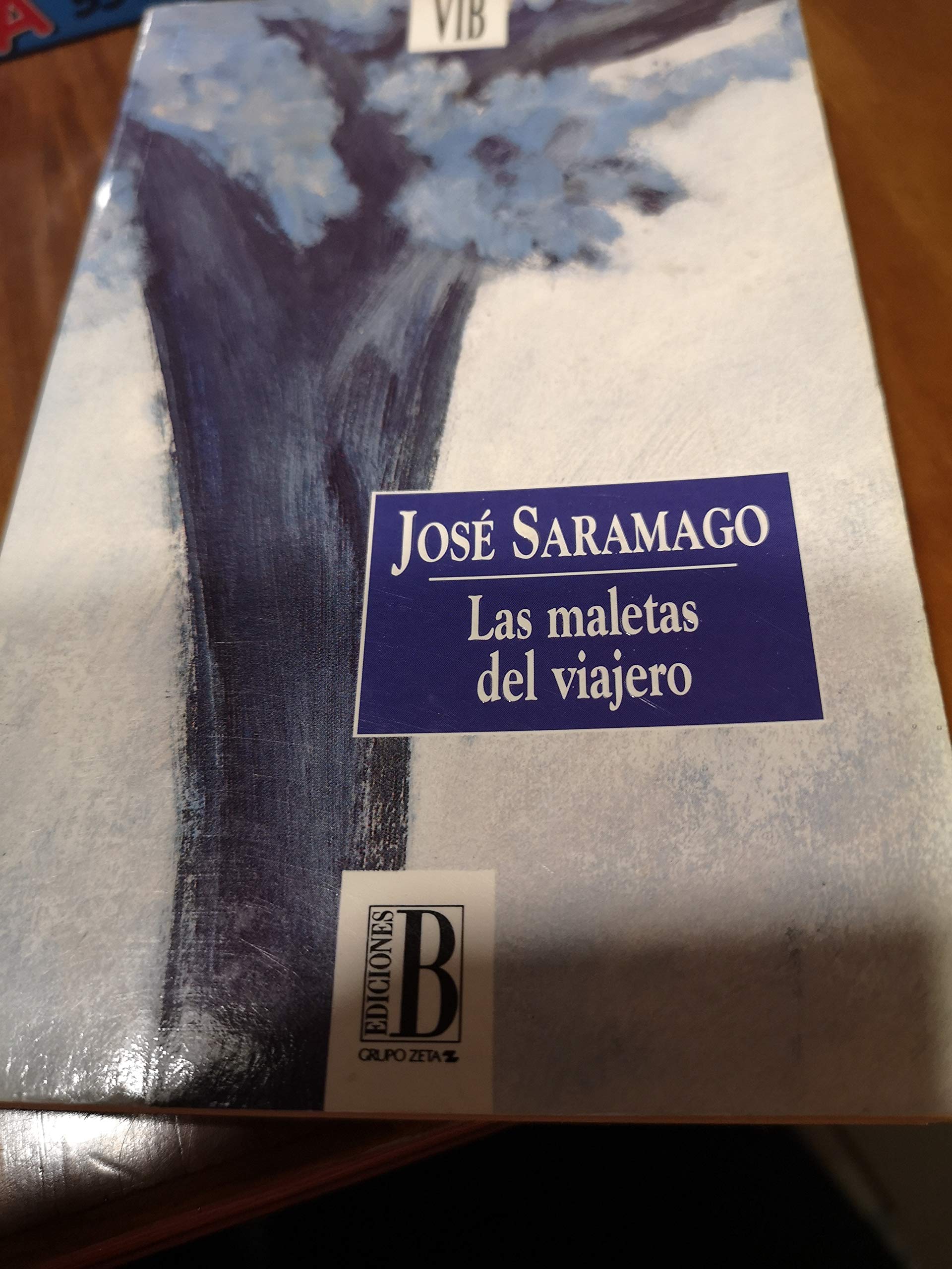 Las Maletas Del Viajero