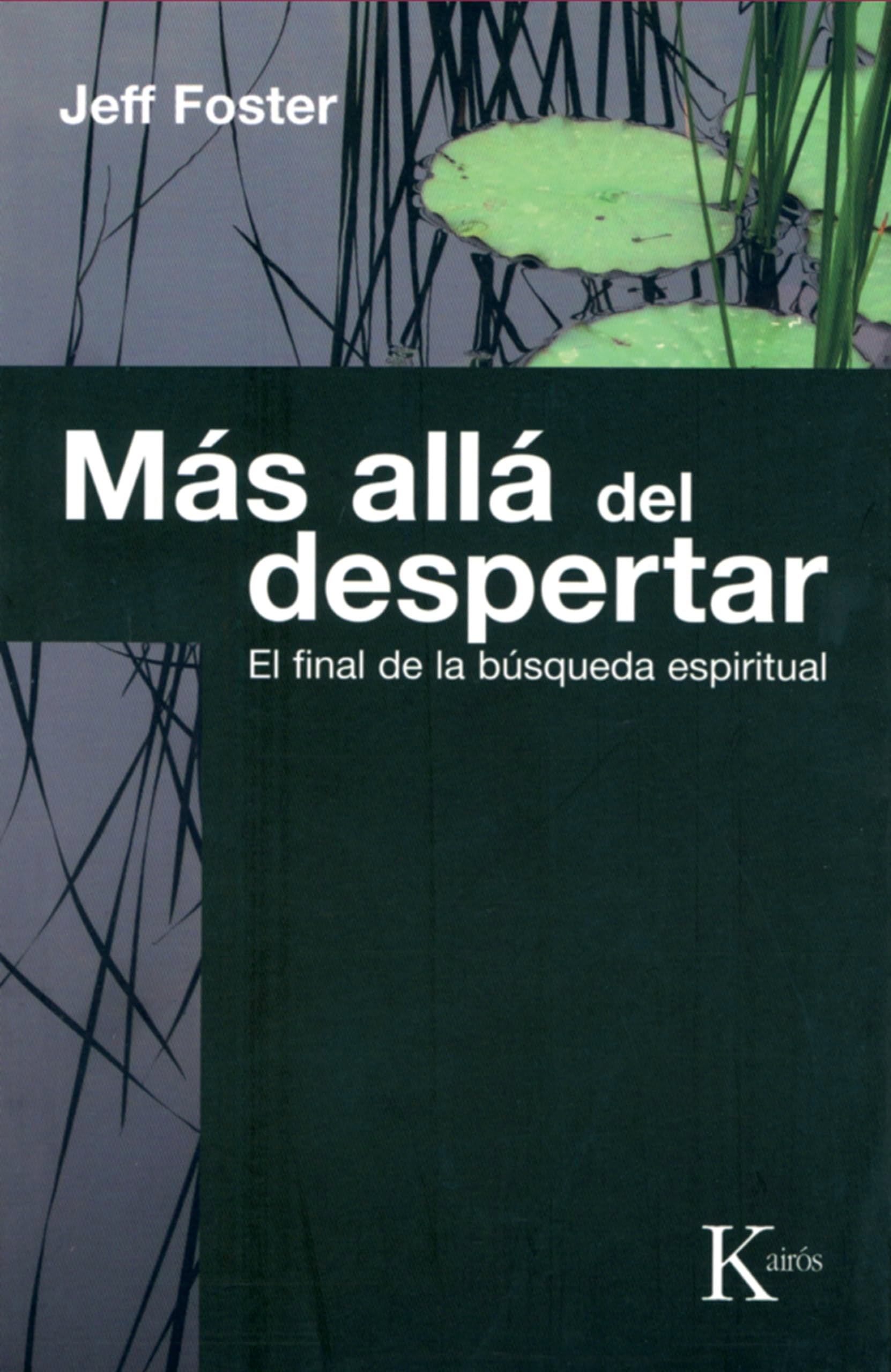Más allá del despertar: El final de la búsqueda espiritual (Sabiduría Perenne)