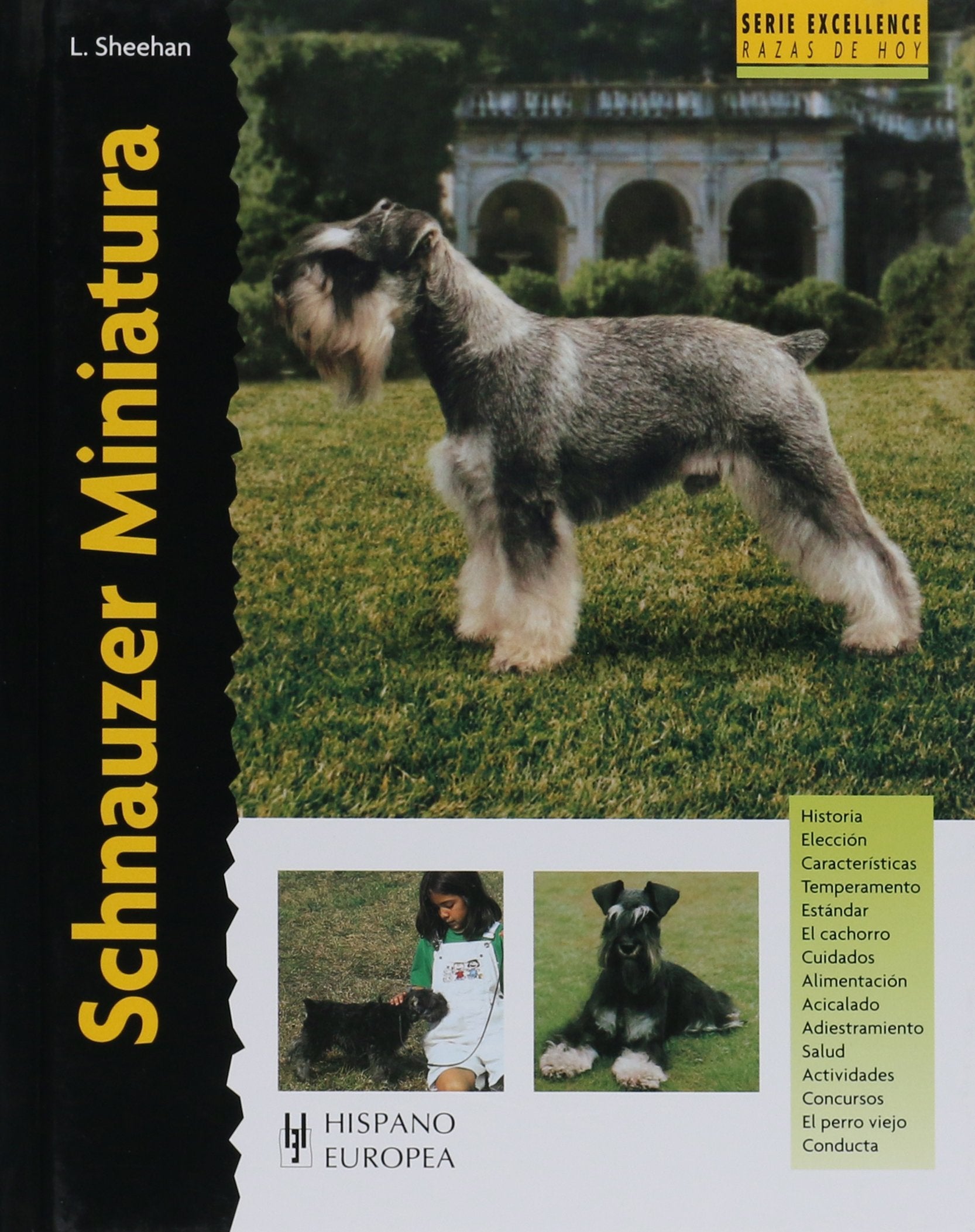 Schnauzer Miniatura/ Miniature Schnauzer