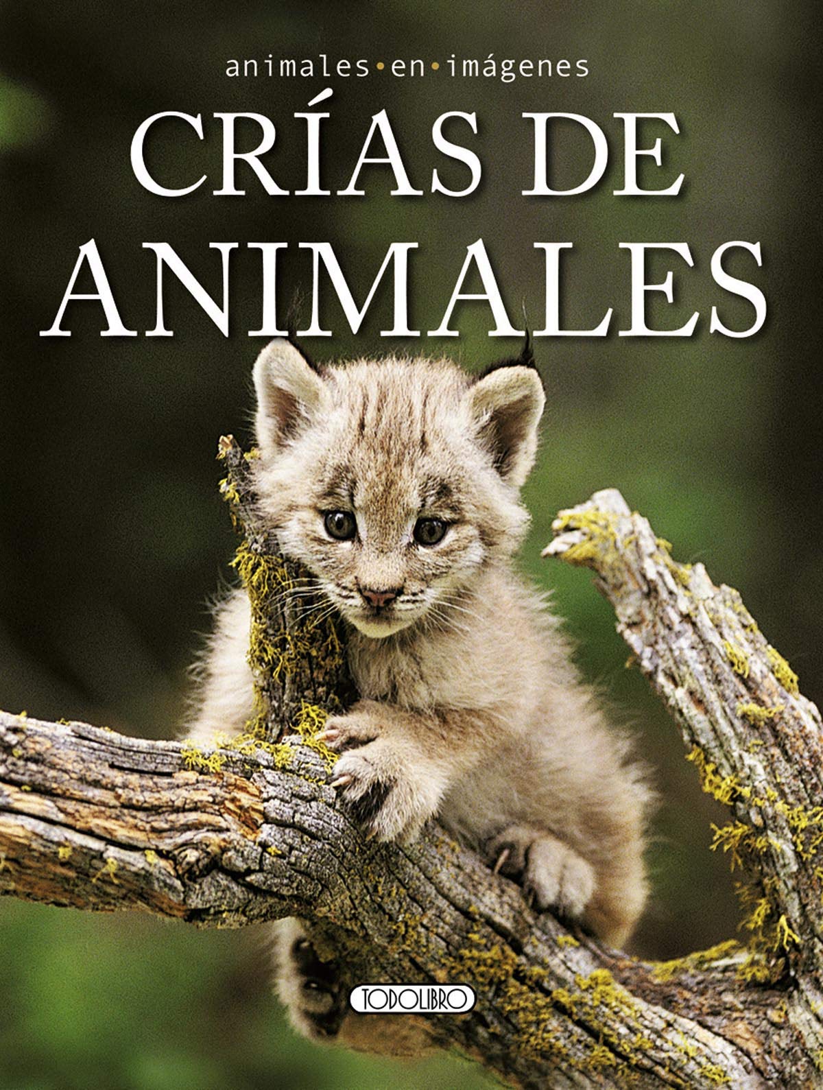 Crías de animales