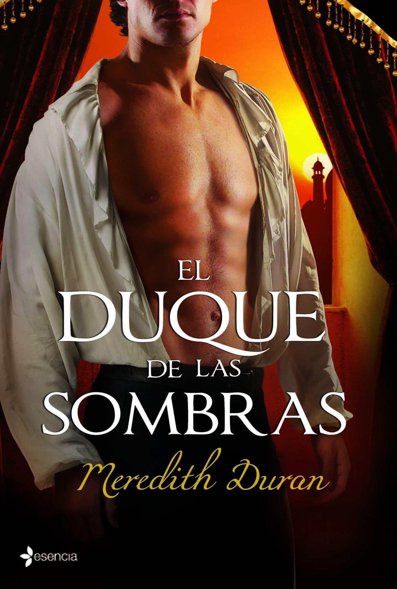 El duque de las sombras (Novela romántica)